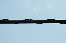 ラッシングロッド